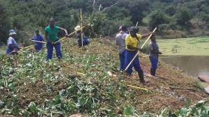 Green Jobs: An Estimate of Direct Employment Potential of a Greening South African Economy